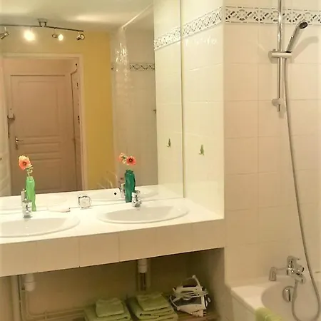 Bel Lumineux Avec Garage Bordeaux