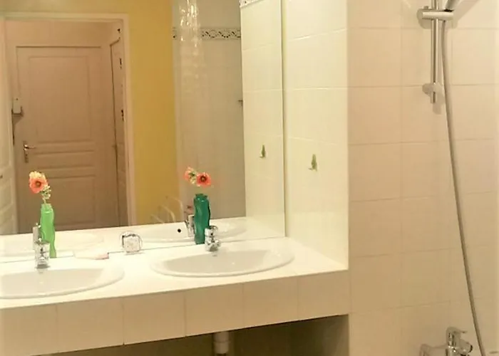 Bel Lumineux Avec Garage Bordeaux